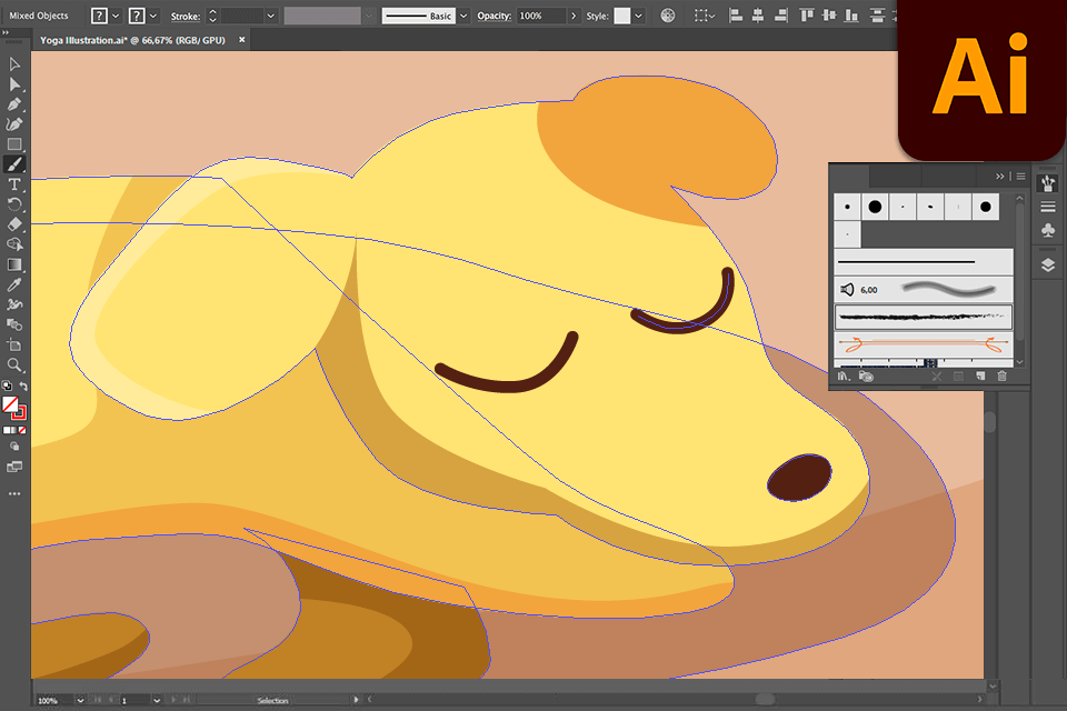 واجهة المصور