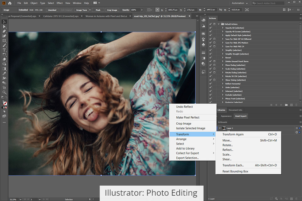 illustrator picture editing