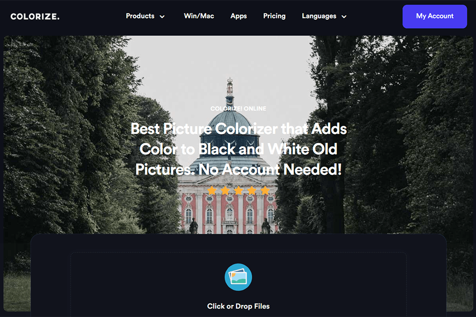 image colorizer interface