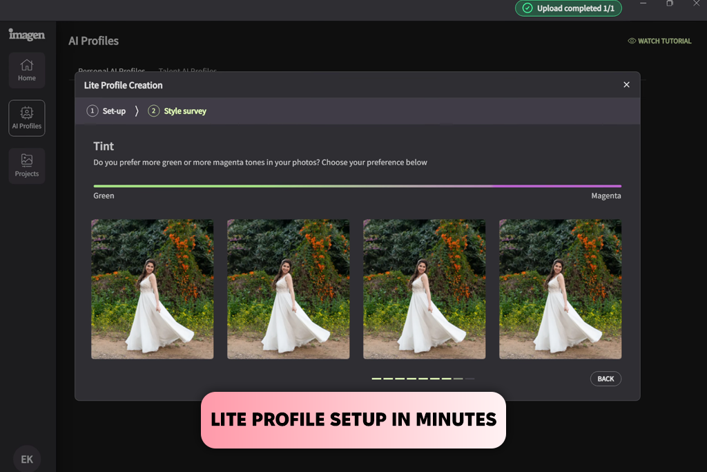 imagen ai lite profile