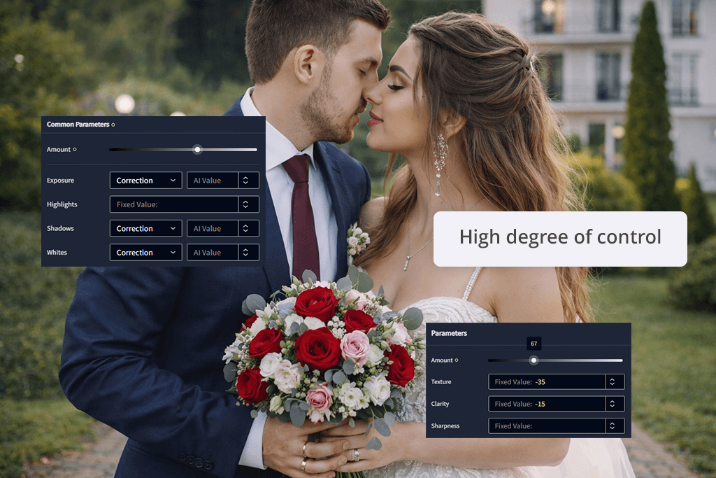 imagen customization control