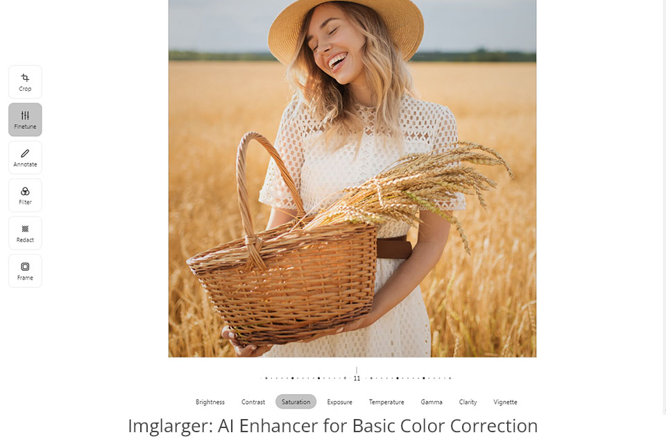 imglarger ai color correction