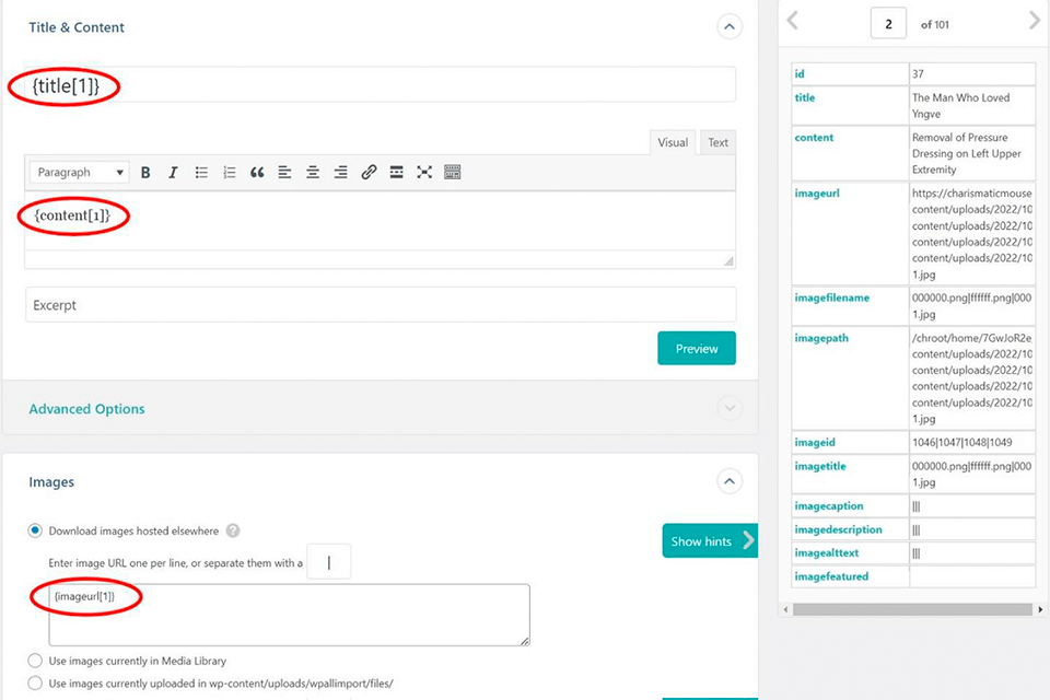 import mappings for bulk editing wordpress image data
