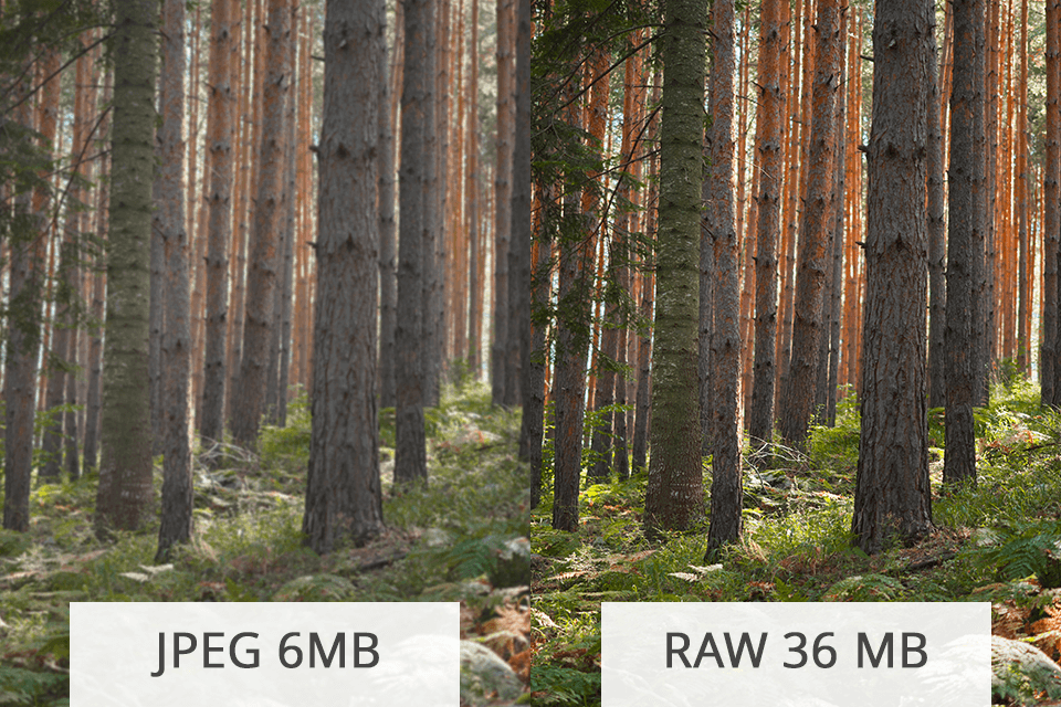 increase resolution of image jpeg vs raw