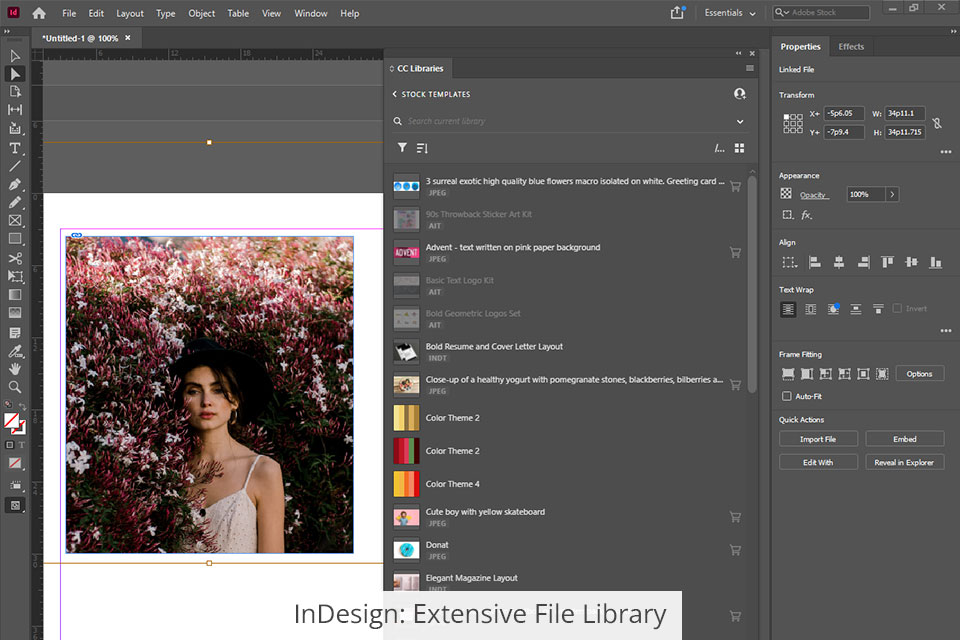 إنديزاين مكتبة ملفات واسعة النطاق