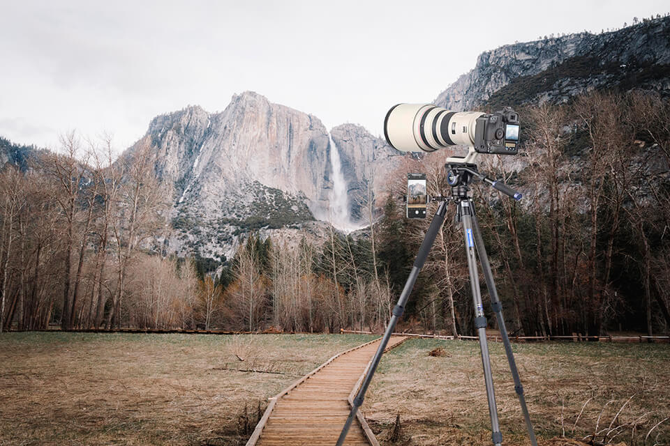 innorel rt80c wildlife photography tripod
