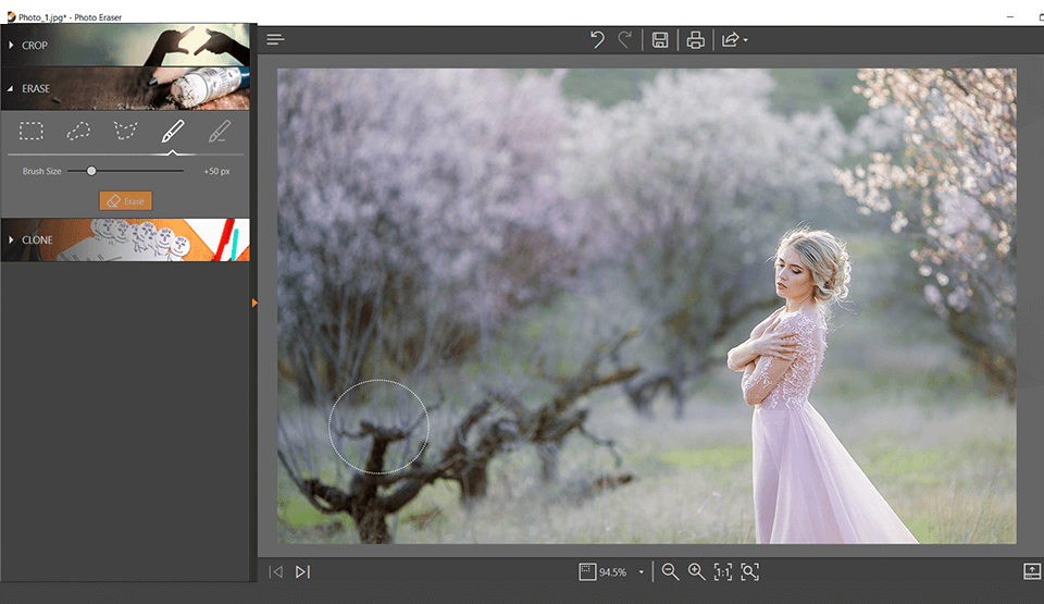 interface de l'éditeur automatique de photos inpixio