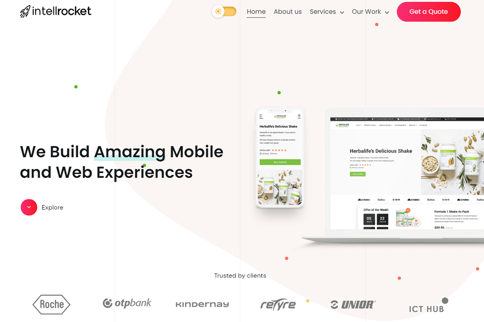 intellrocket wordpress developer website