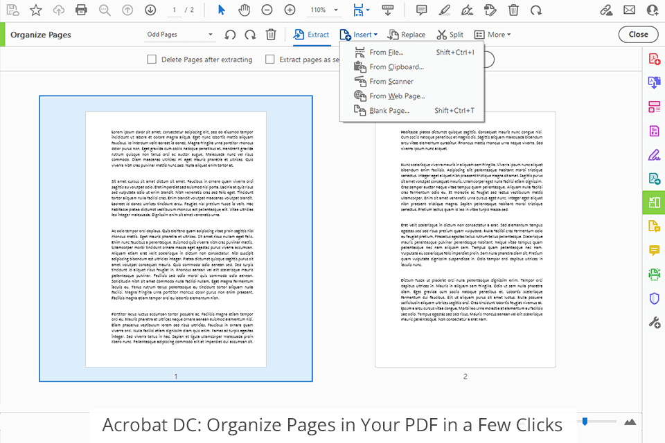 interface adobe acrobat dc