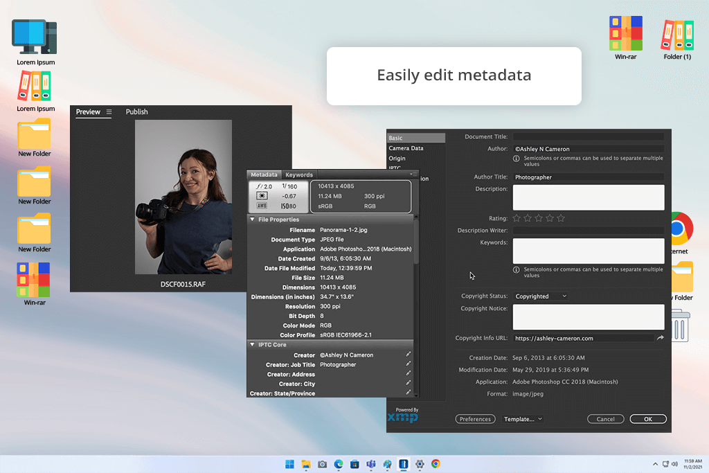 interface adobe bridge photo organizing software