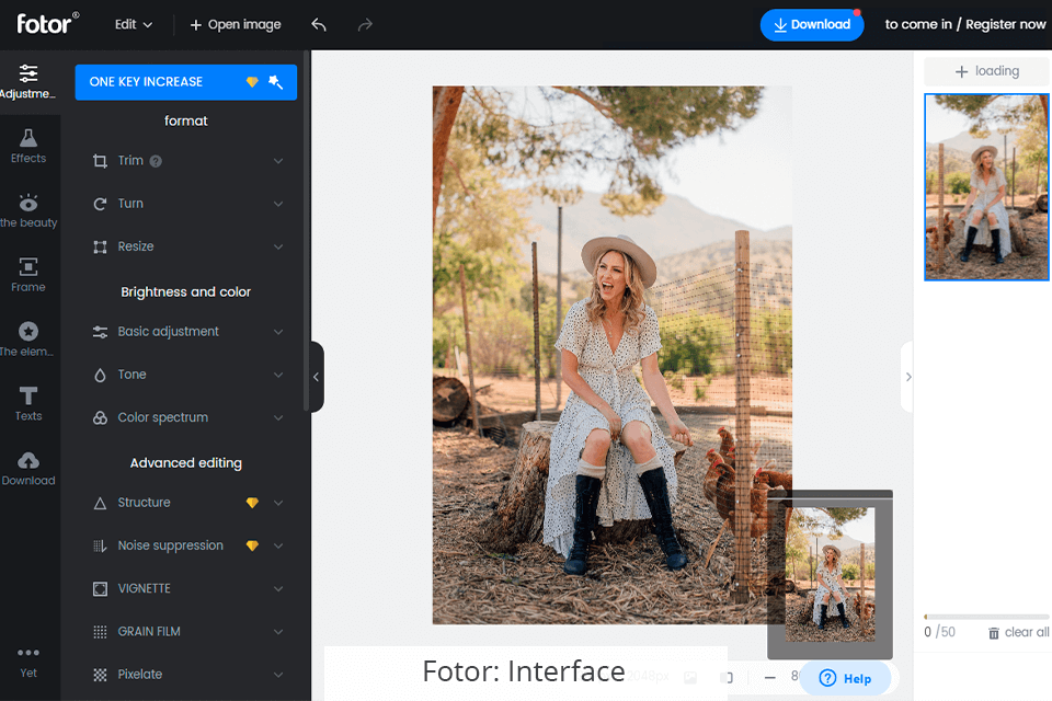 Fotor Review: An Intuitive Online Photo Editor