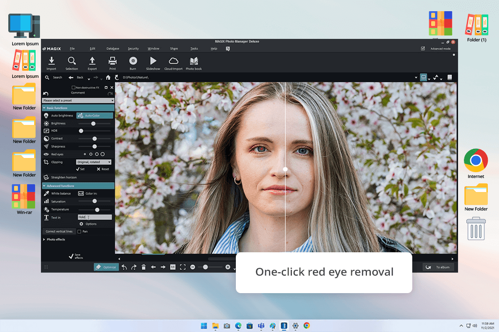 interface magix photo manager photo organizing software