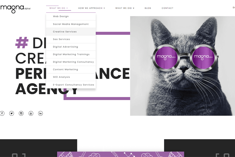 magna dijital ajansi arayüz