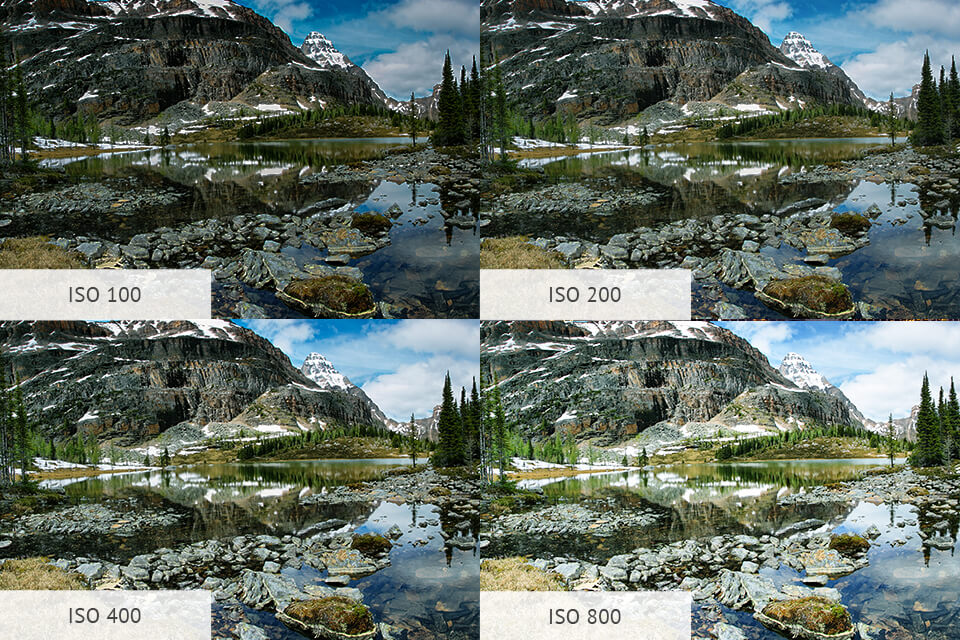 ISO in Photography: Guide for Beginners