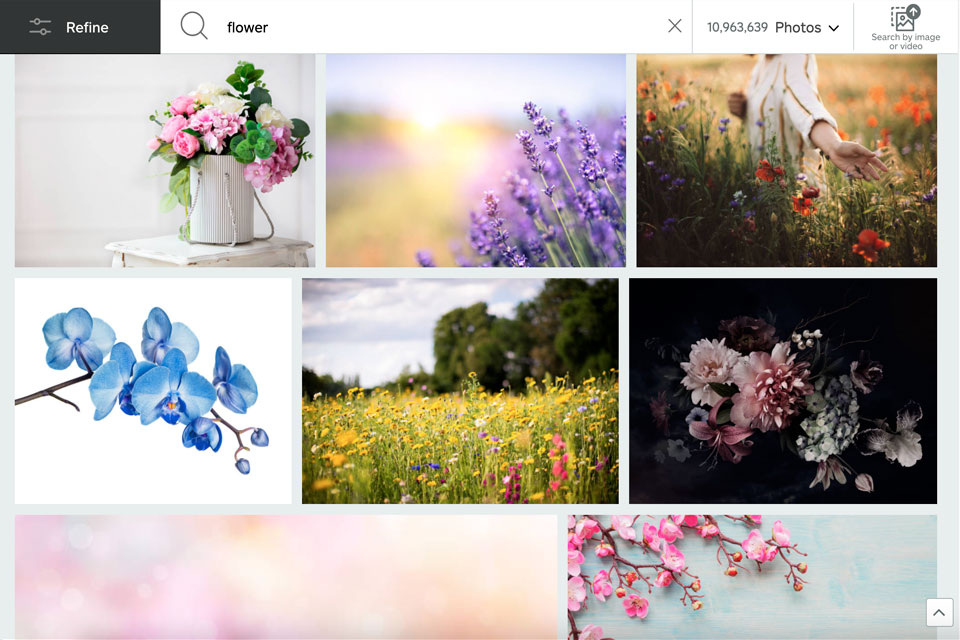 9 Shutterstock Alternative Websites of 2024