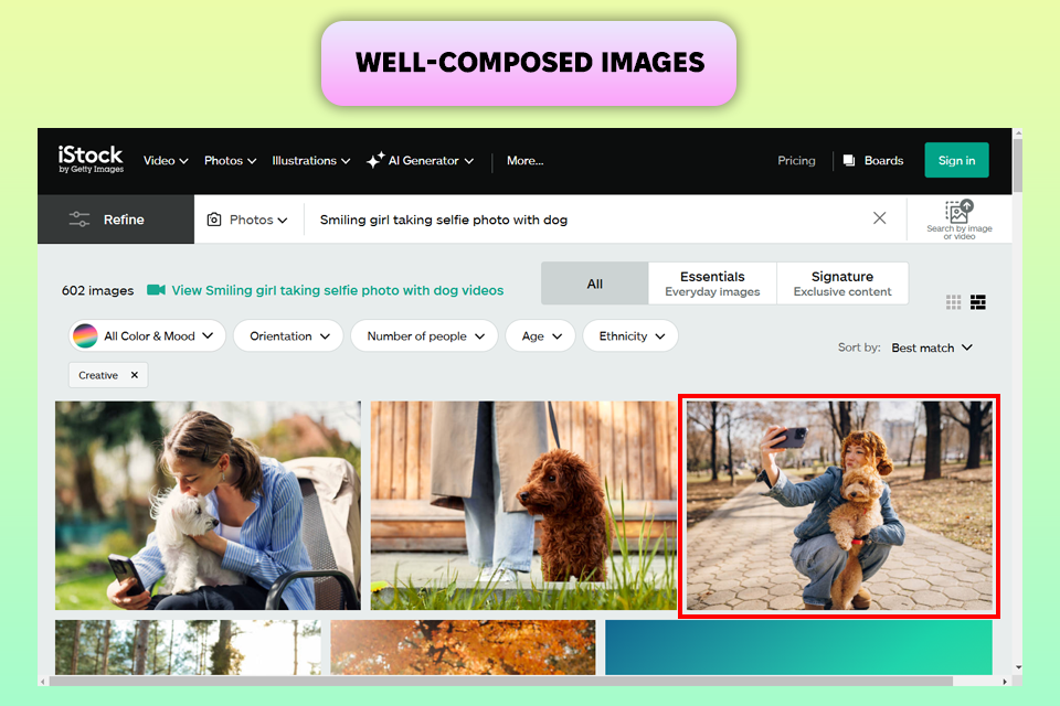 istock software
