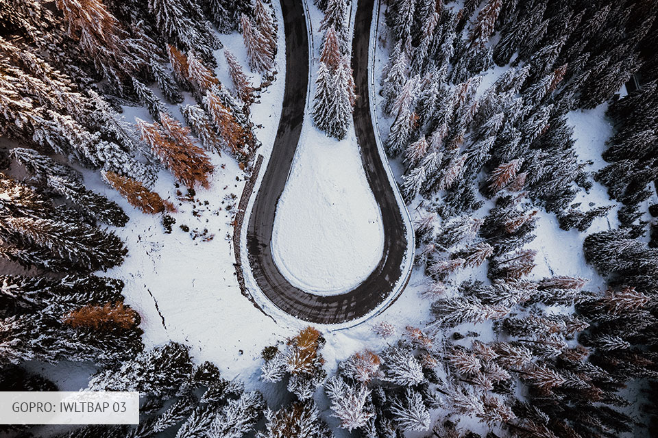 iwltbap lut 03 analog from fixthephoto