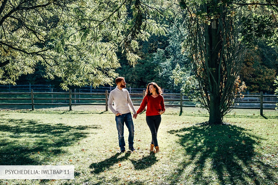 iwltbap lut 11 psychedelia collection