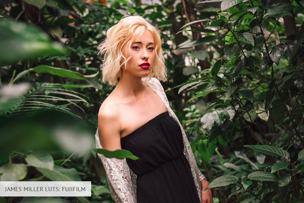 james miller fujifilm lut
