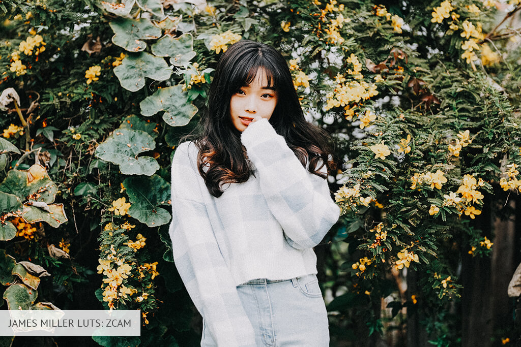 james miller zcam lut