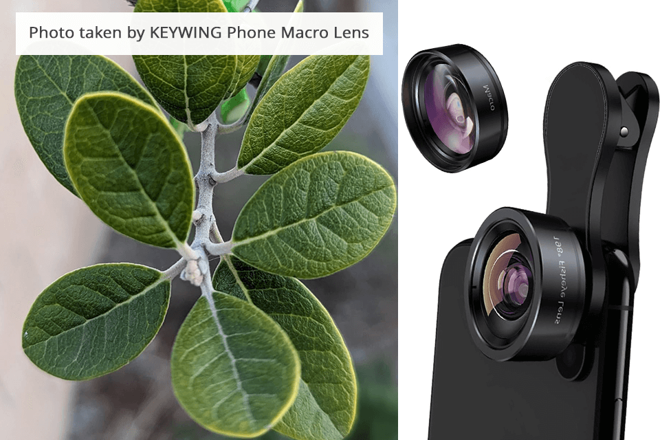 Best Phone Camera Lenses for iPhone and Android in 2024