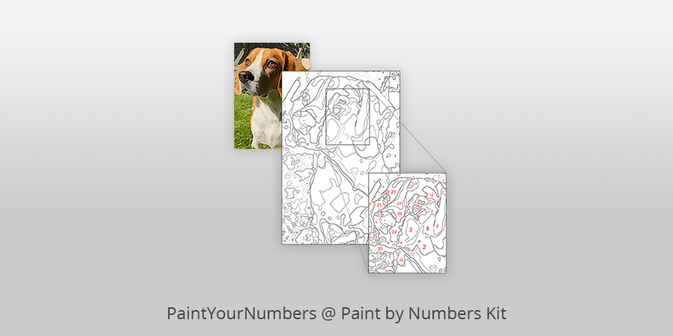 Paint By Numbers - The Best Paint By Numbers Kits For Adults