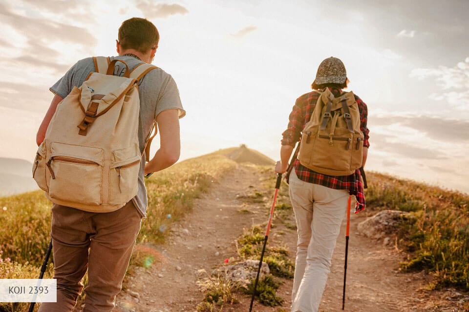 كوجي المناظر الطبيعية luts