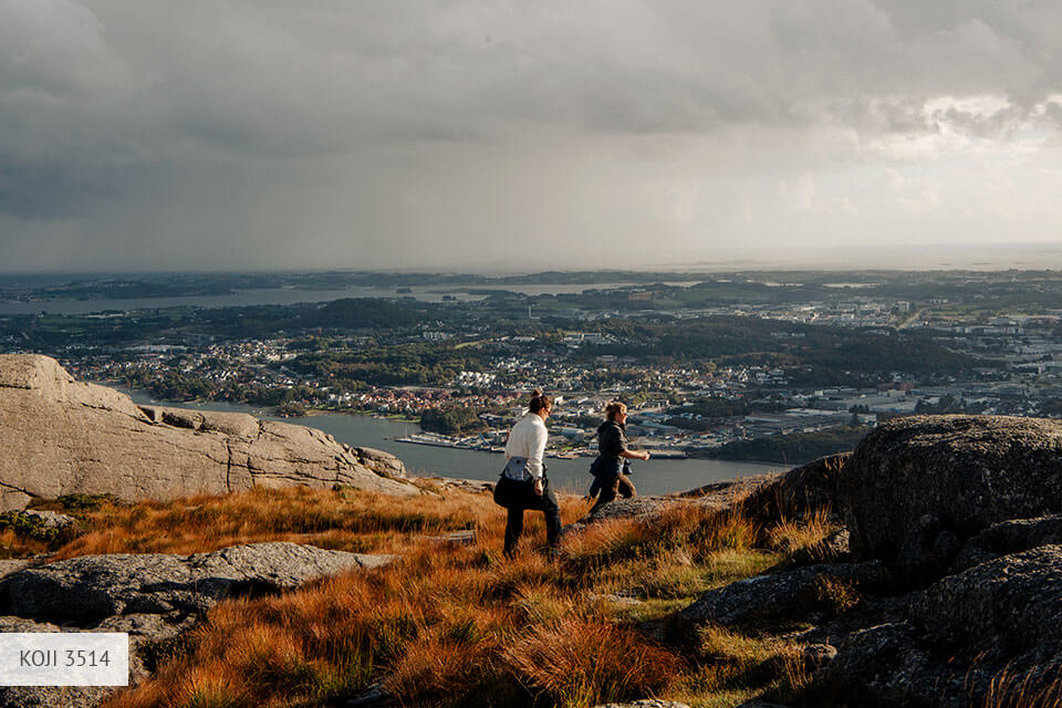 طبيعة luts كوجي