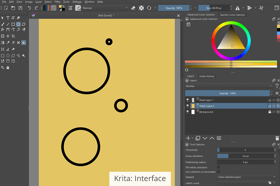 Krita's Fill tool: fill outlines and selections 