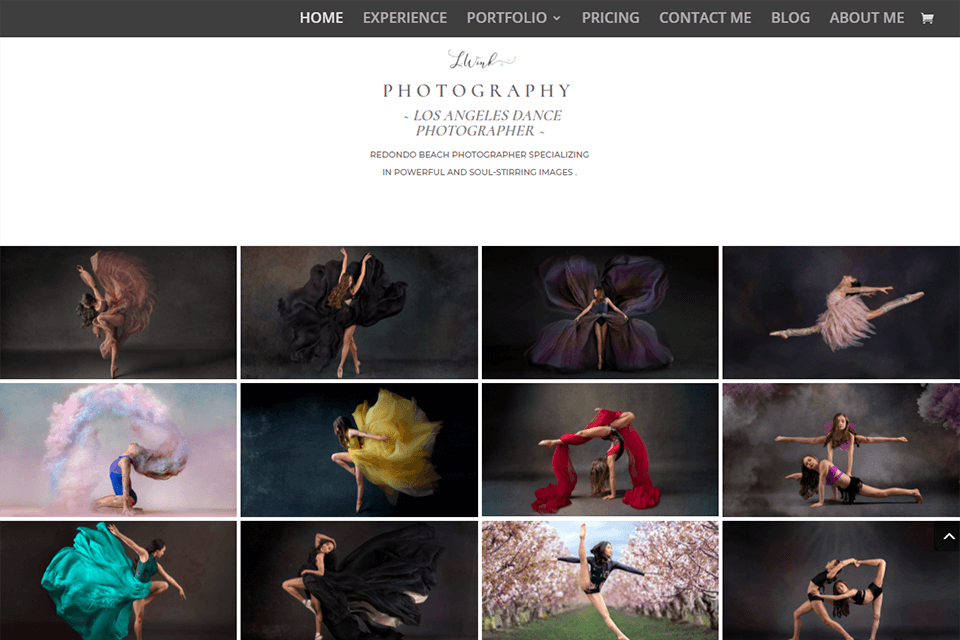 l wink photography website
