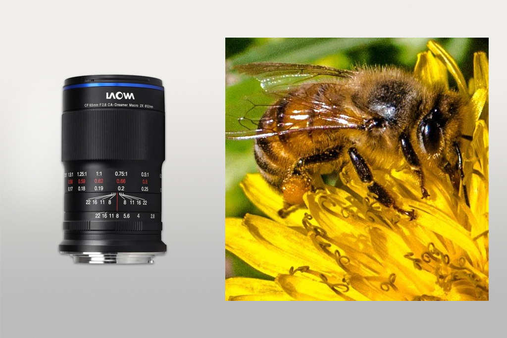 laowa 25mm f/2.8 2.5-5x ultra macro lens for canon
