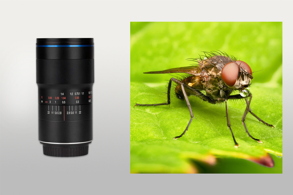 laowa venus optics 100mm f/2.8 2x ultra macro lens for canon