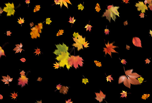 leaf overlay for photoshop download free