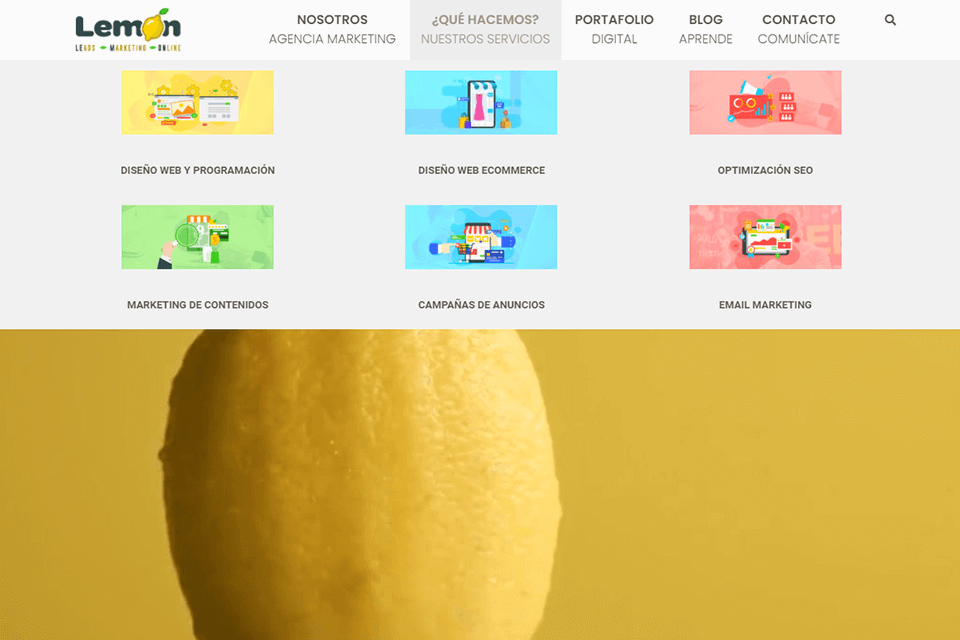 lemon agencia de marketing campañas publicitarias digitales