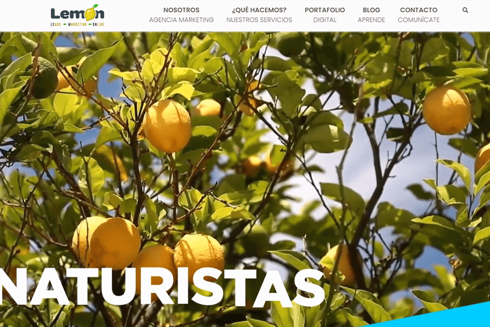 lemon agencia de marketing sitio web digital