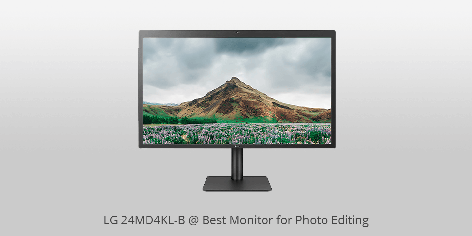 lg 24md4kl b monitor for photo editing