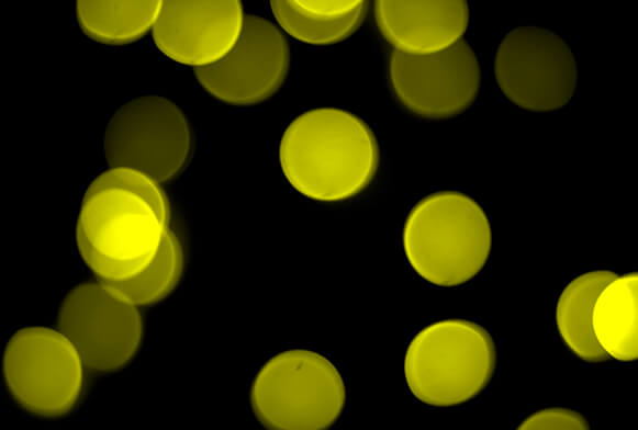 naturlig bokeh