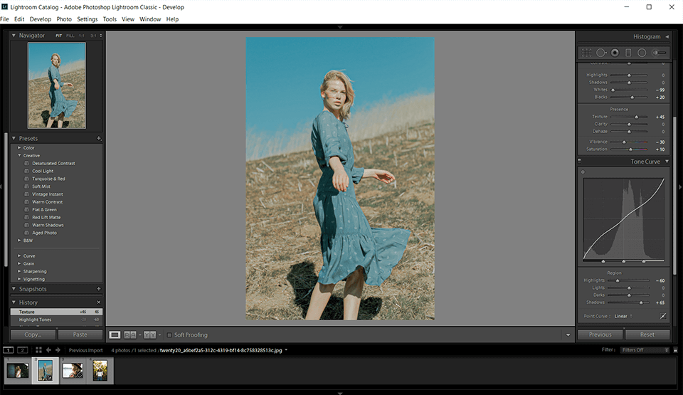 lightroom editor automático de fotos interfaz