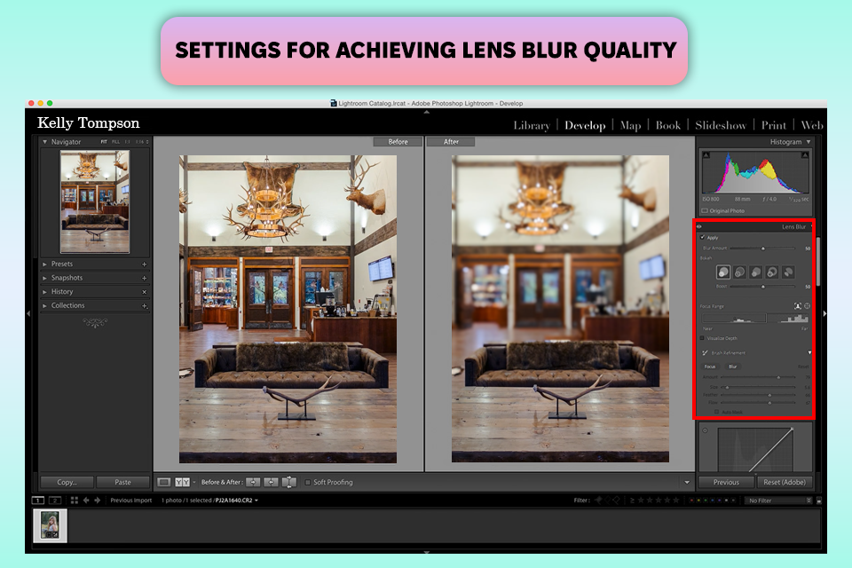 lightroom lens blurpro interface