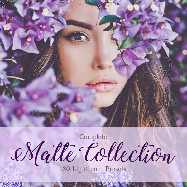 banner lr presets matte complete collection