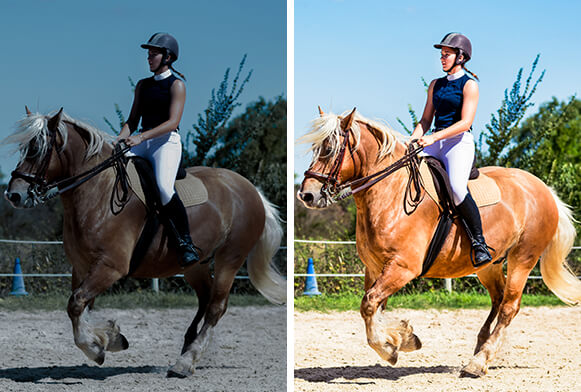 Lightroom unaprijed postavljene postavke za sport