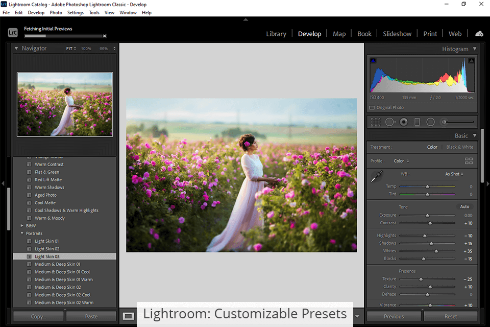 lightroom presets
