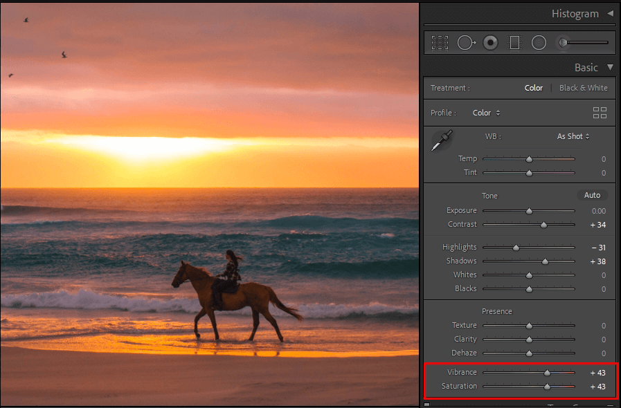 Vibrance Vs Saturation In Lightroom Full Comparison