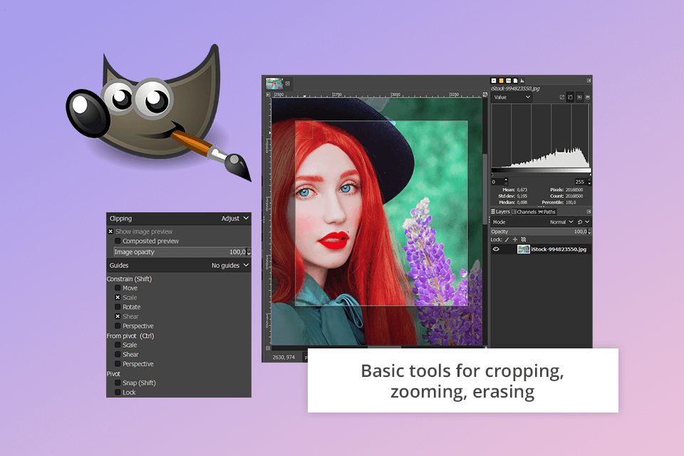 Lightroom vs GIMP Which Is Worth Your Time to Study?