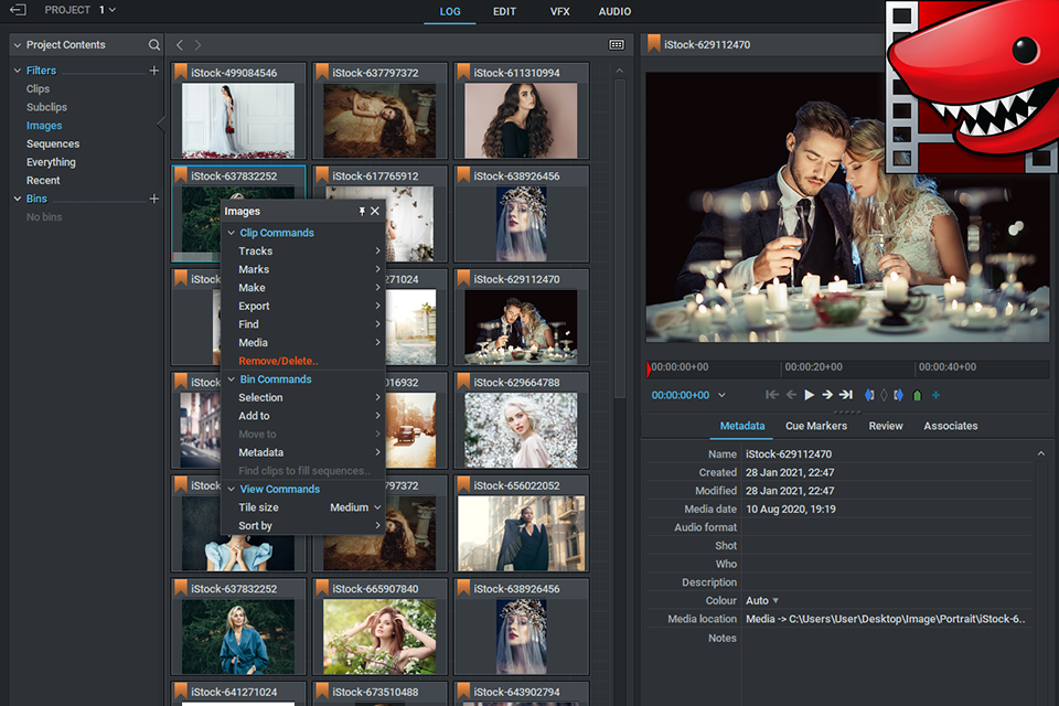 lightworks interface