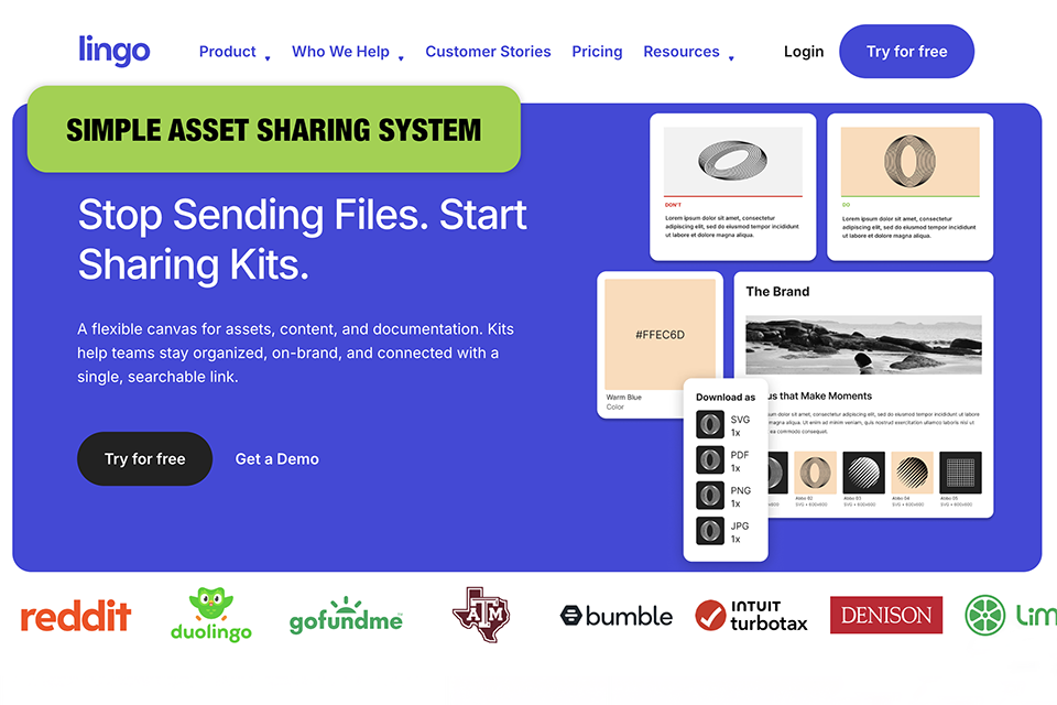 lingoapp daminion alternative