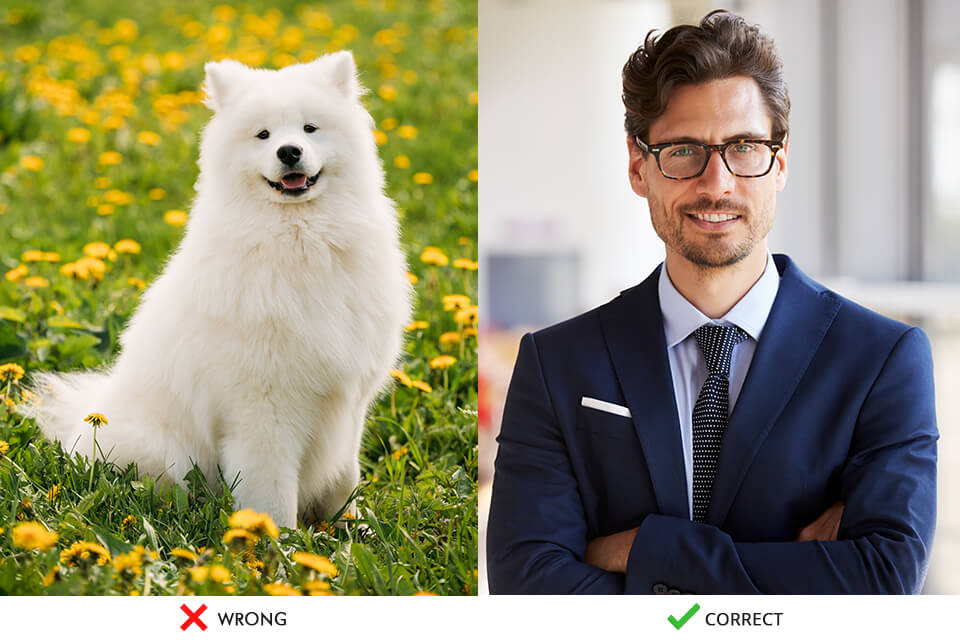 linked in profile pic rules