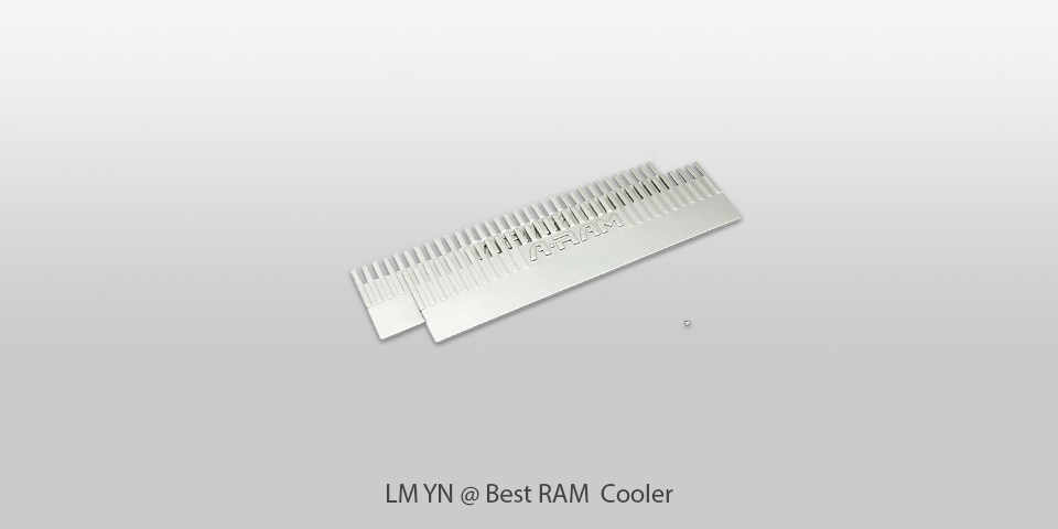 lm yn ram cooler