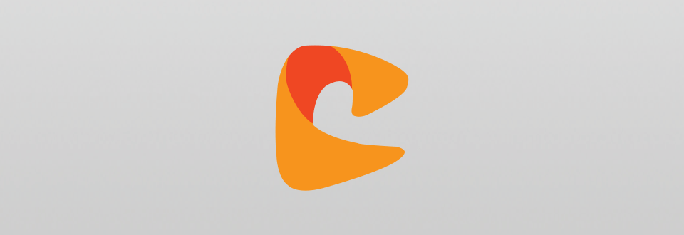 colorcinch logo