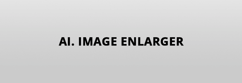 imglarger 전문가의 디노이저 logo